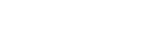 Sanity